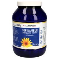 TOPINAMBUR AMINOSÄURE Vitamine GPH Kapseln