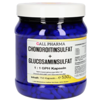 CHONDROITINSULFAT+Glusosaminsulfat 1:1 GPH Kapseln