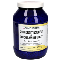 CHONDROITINSULFAT+Glusosaminsulfat 1:1 GPH Kapseln