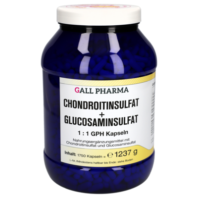 CHONDROITINSULFAT+Glusosaminsulfat 1:1 GPH Kapseln