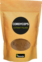 CORDYCEPS PILZ EXTRAKT im Paperbag Pulver