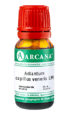 ADIANTUM CAPILLUS veneris LM 5 Dilution