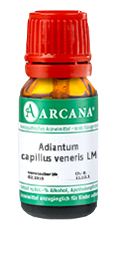 ADIANTUM CAPILLUS veneris LM 6 Dilution