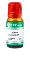 ALISMA plantago LM 12 Dilution