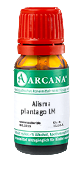 ALISMA plantago LM 18 Dilution