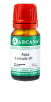 AQUA SANICULA LM 8 Dilution