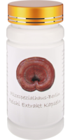 REISHI EXTRAKT Kapseln 300 mg 35% Polysaccaride