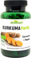 KURKUMA FORTE Curcumin+Piperin Kapseln